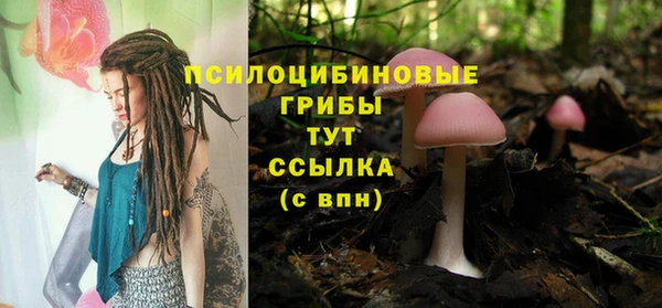 эйфоретик Абаза